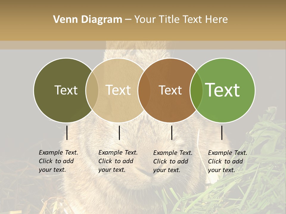 A Rabbit Is Eating Grass In The Dark PowerPoint Template