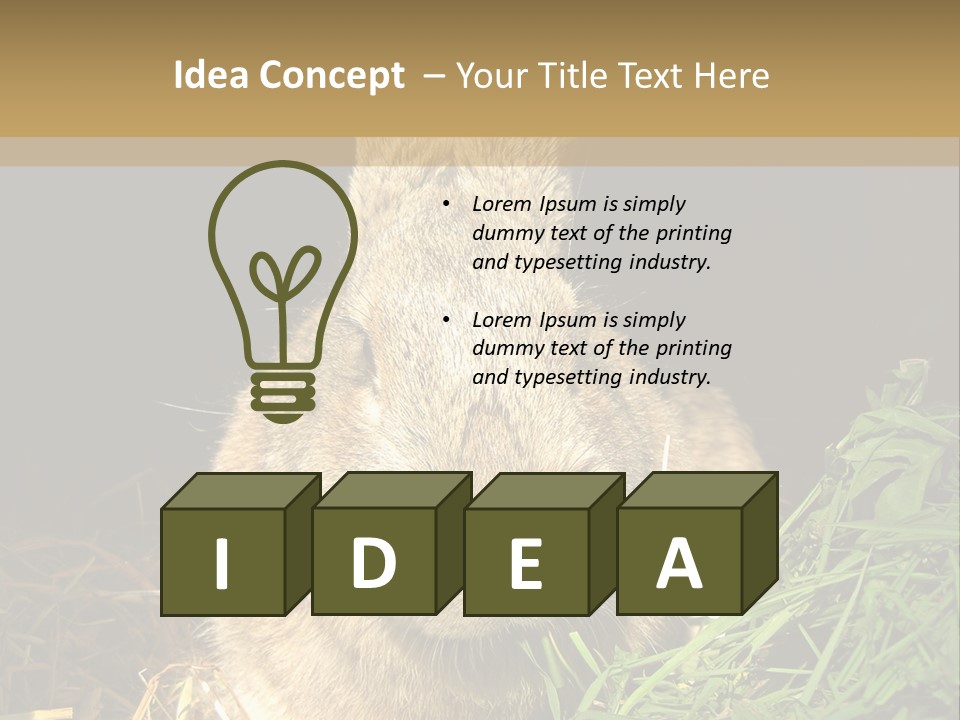 A Rabbit Is Eating Grass In The Dark PowerPoint Template