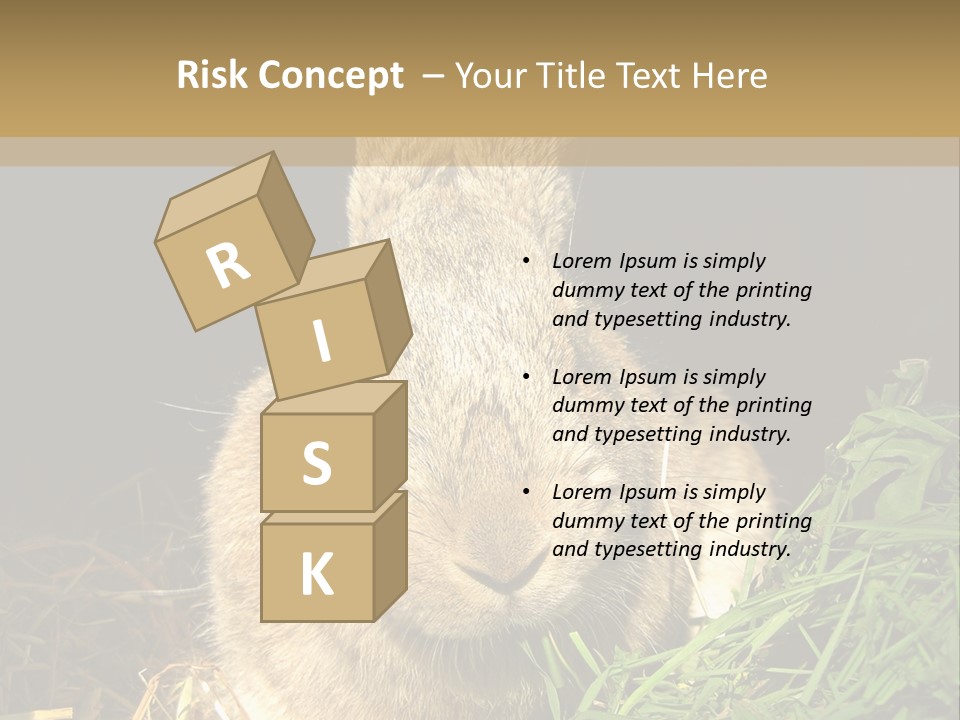 A Rabbit Is Eating Grass In The Dark PowerPoint Template