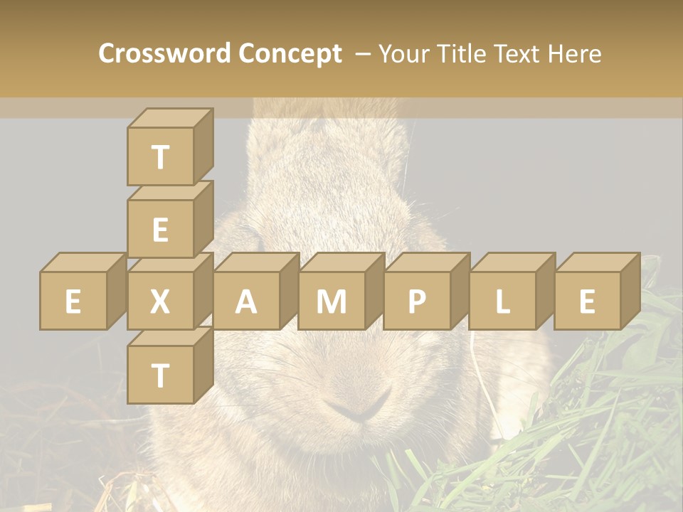 A Rabbit Is Eating Grass In The Dark PowerPoint Template