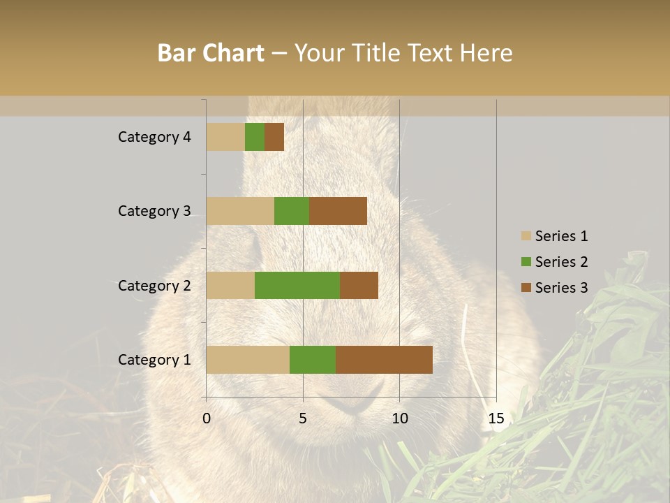 A Rabbit Is Eating Grass In The Dark PowerPoint Template