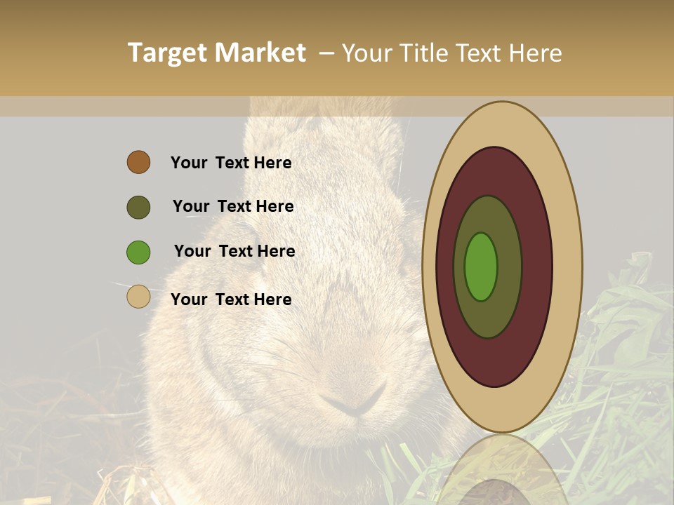 A Rabbit Is Eating Grass In The Dark PowerPoint Template