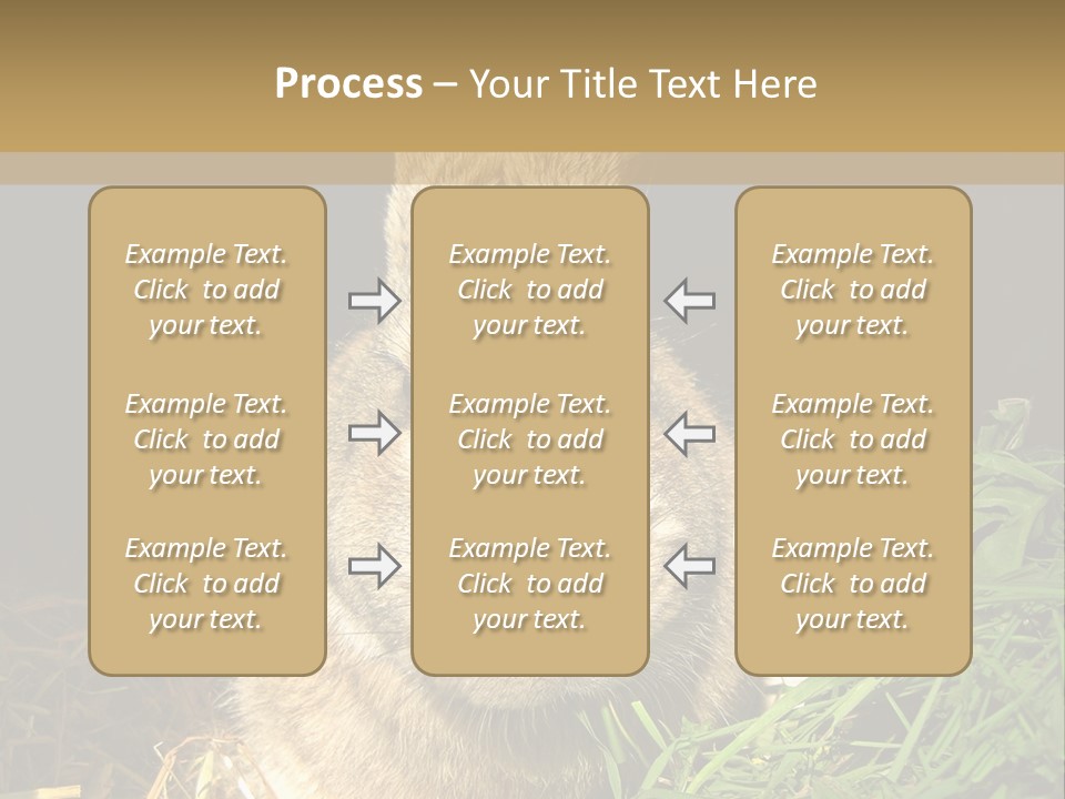 A Rabbit Is Eating Grass In The Dark PowerPoint Template