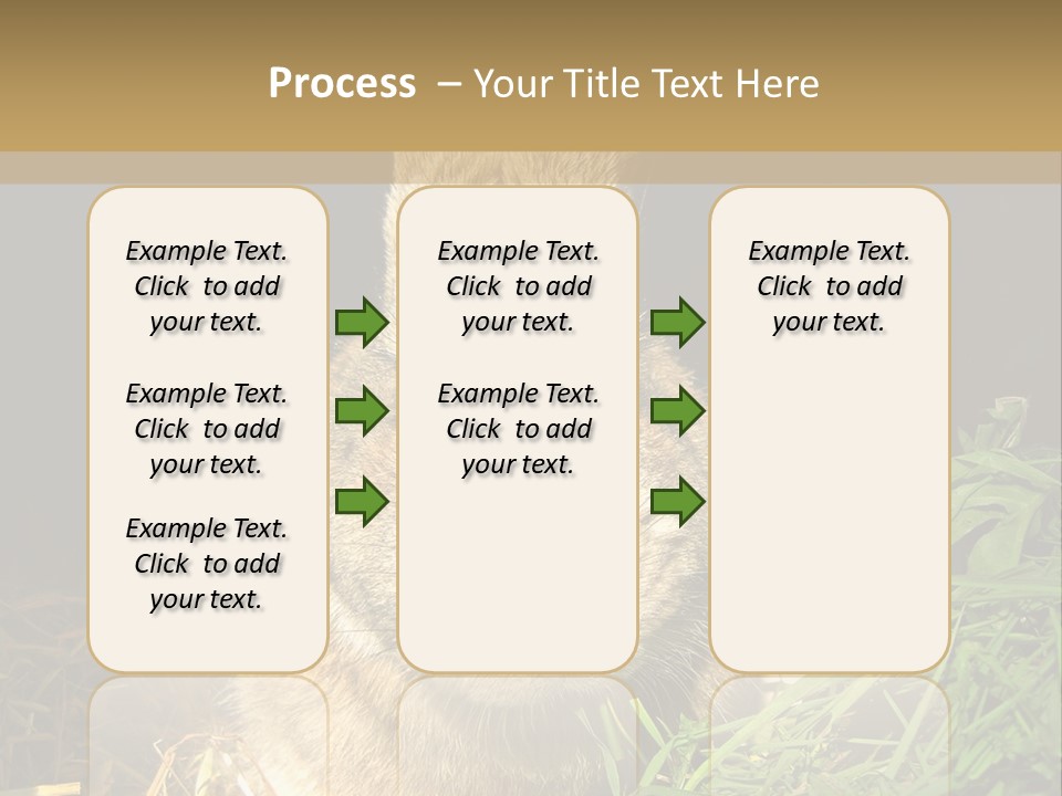 A Rabbit Is Eating Grass In The Dark PowerPoint Template