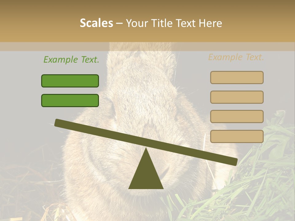 A Rabbit Is Eating Grass In The Dark PowerPoint Template
