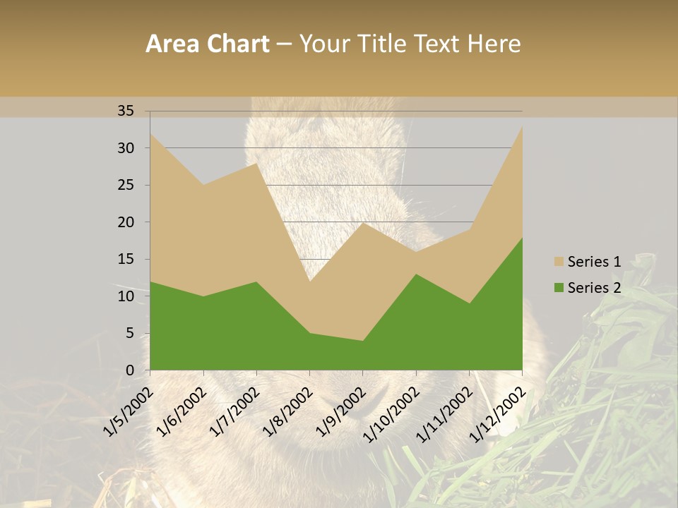 A Rabbit Is Eating Grass In The Dark PowerPoint Template