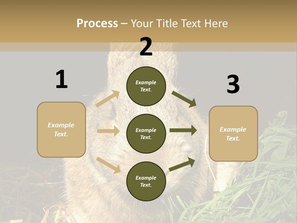 A Rabbit Is Eating Grass In The Dark PowerPoint Template