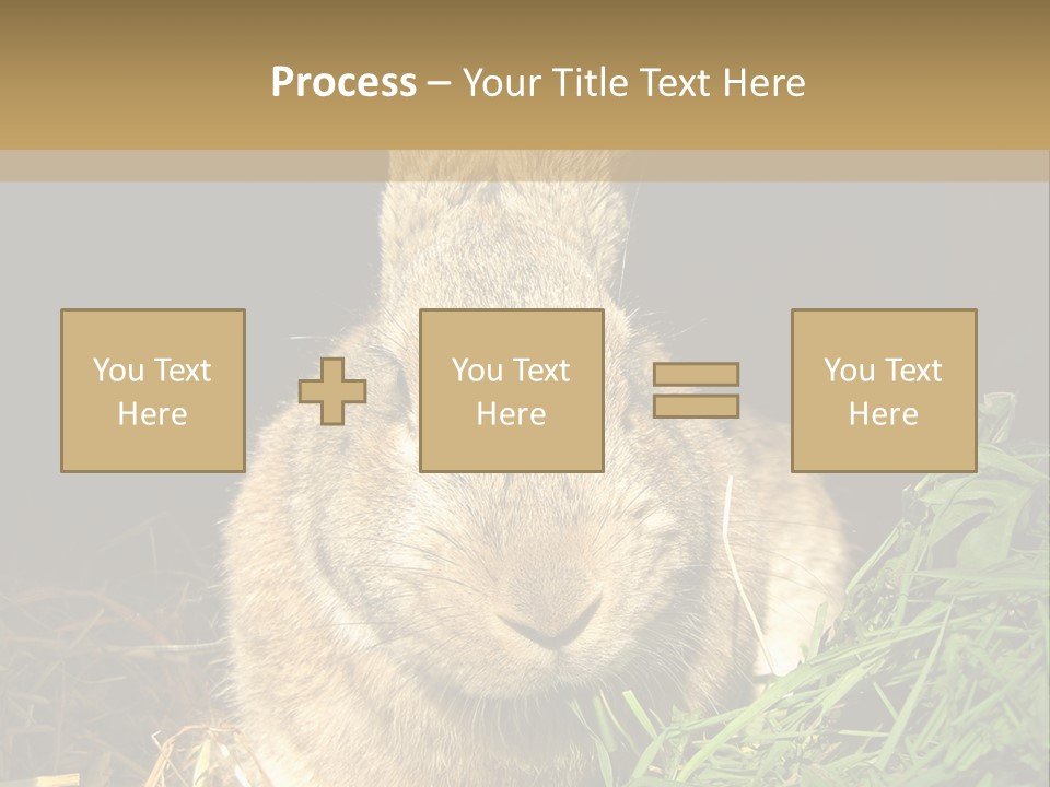 A Rabbit Is Eating Grass In The Dark PowerPoint Template