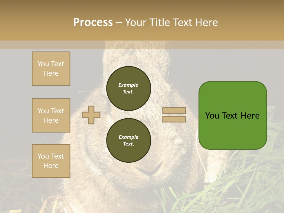 A Rabbit Is Eating Grass In The Dark PowerPoint Template
