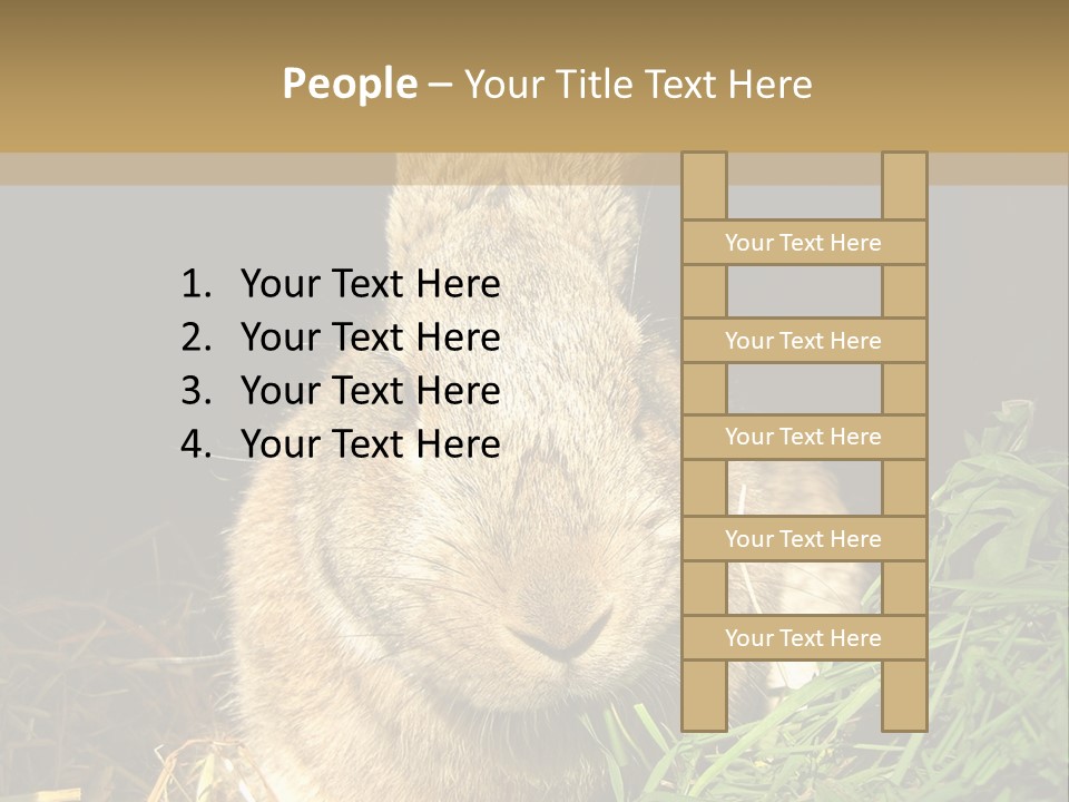 A Rabbit Is Eating Grass In The Dark PowerPoint Template