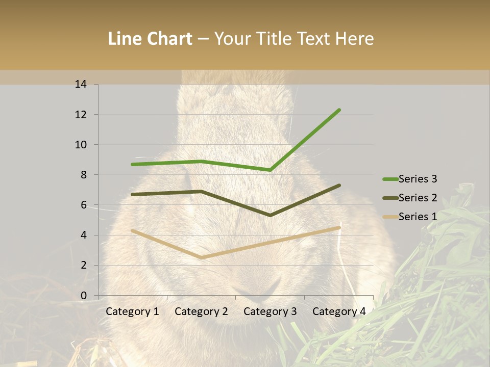 A Rabbit Is Eating Grass In The Dark PowerPoint Template