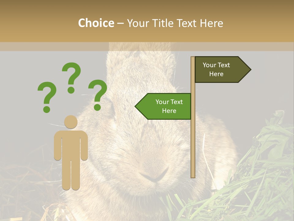 A Rabbit Is Eating Grass In The Dark PowerPoint Template