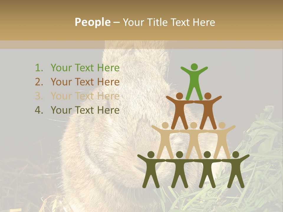 A Rabbit Is Eating Grass In The Dark PowerPoint Template