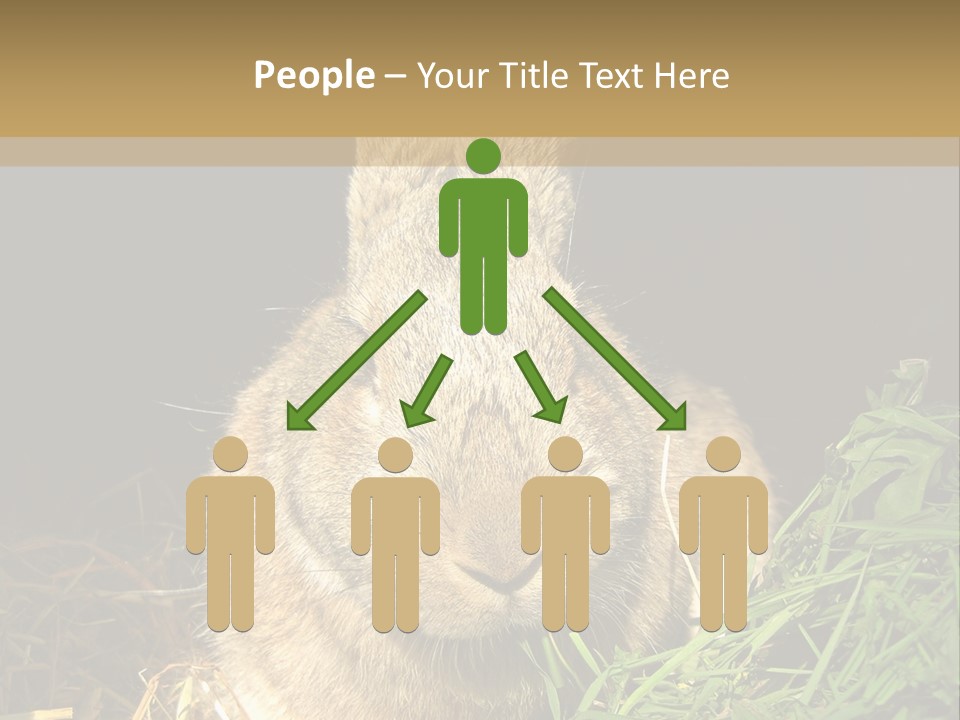 A Rabbit Is Eating Grass In The Dark PowerPoint Template