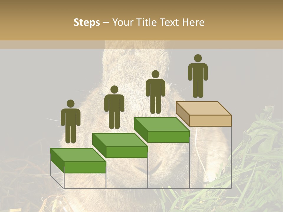 A Rabbit Is Eating Grass In The Dark PowerPoint Template