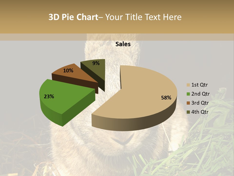 A Rabbit Is Eating Grass In The Dark PowerPoint Template