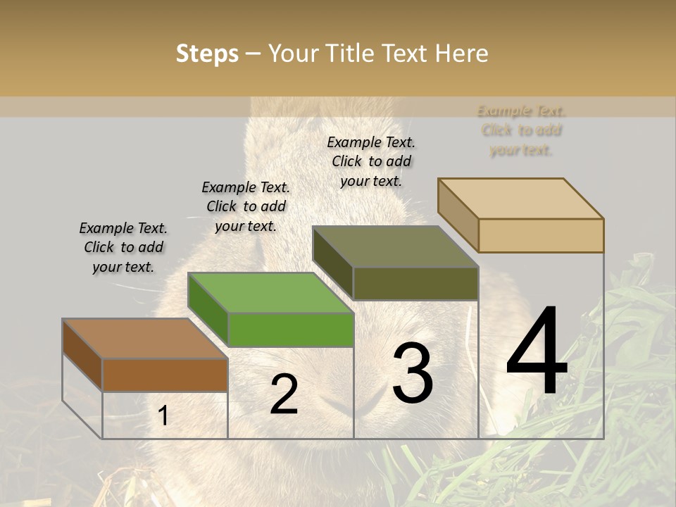 A Rabbit Is Eating Grass In The Dark PowerPoint Template