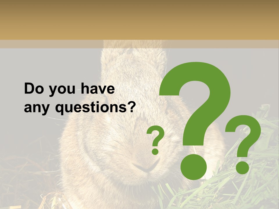 A Rabbit Is Eating Grass In The Dark PowerPoint Template