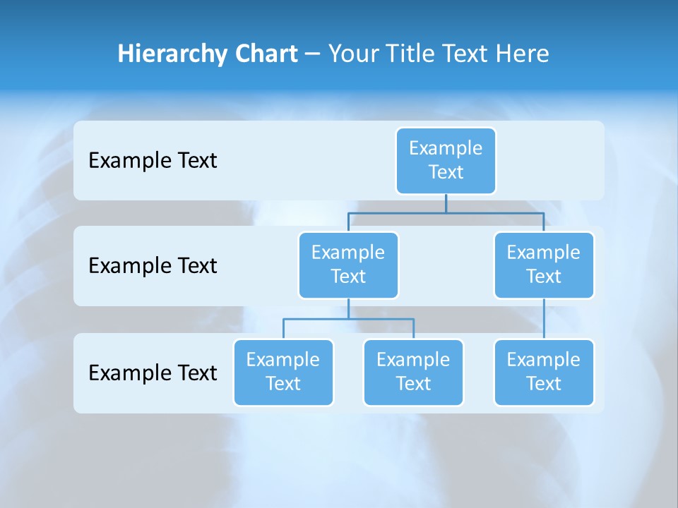 A Radiograph Of Human Body Is In Black And White Tones PowerPoint Template
