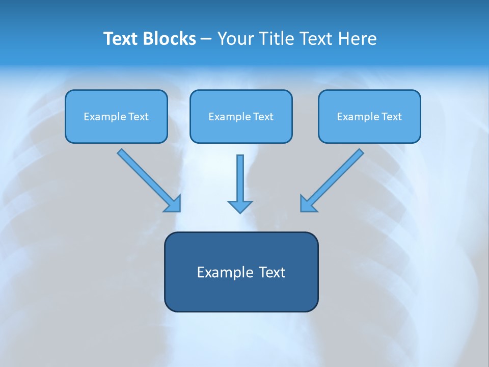 A Radiograph Of Human Body Is In Black And White Tones PowerPoint Template