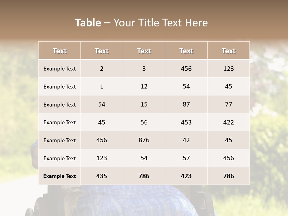 Senior Woman In A Wheelchair With Her Granddaughter PowerPoint Template