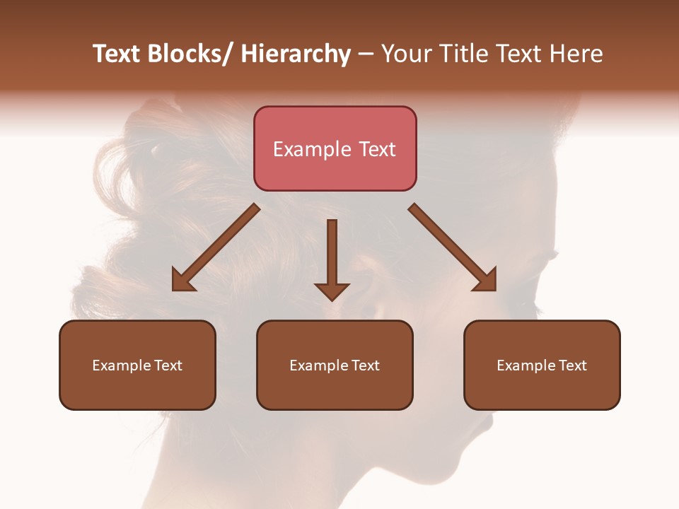 Close-Up Bridal Hair Young Beautiful Brunettes On A White Background PowerPoint Template