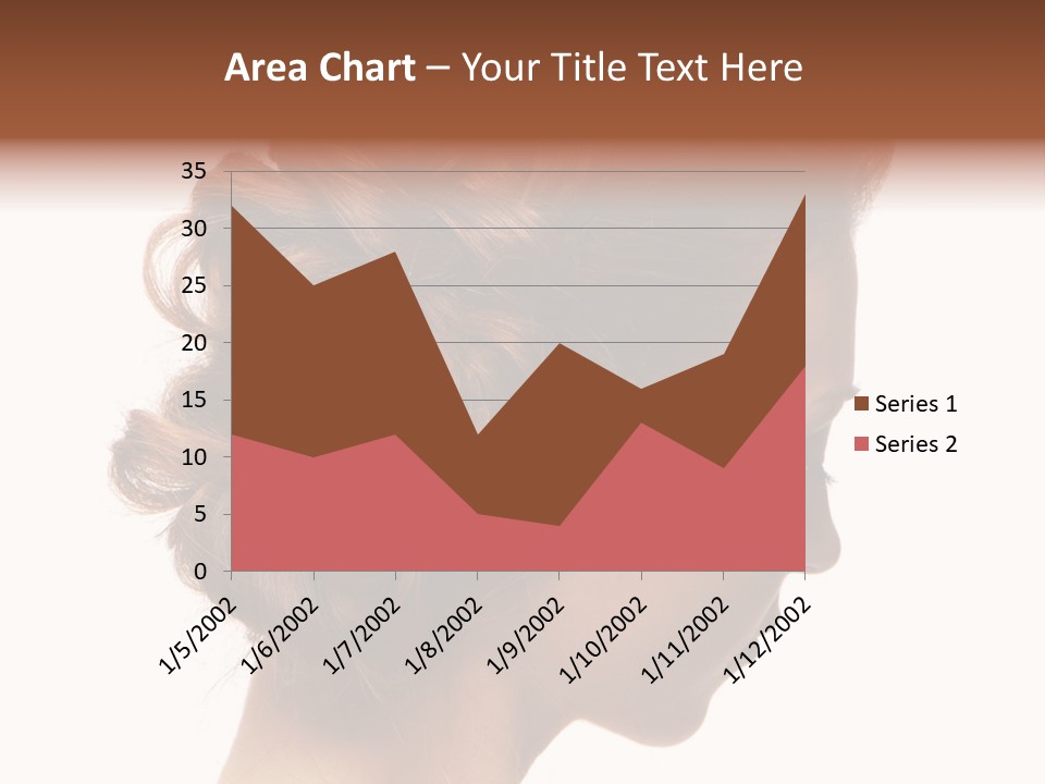 Close-Up Bridal Hair Young Beautiful Brunettes On A White Background PowerPoint Template