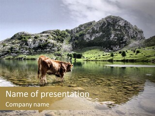 Enol Lake PowerPoint Template