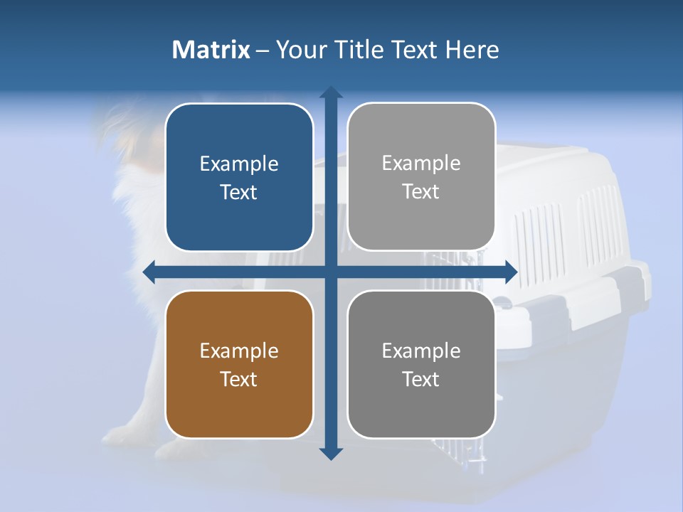 Young Dog Papillon And A Plastic Carrier PowerPoint Template
