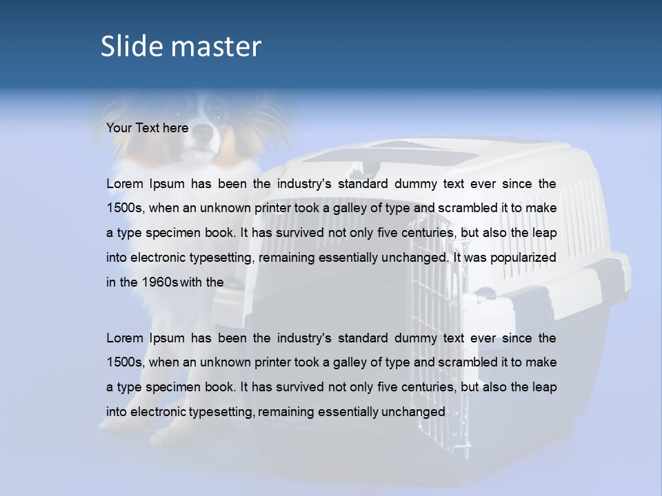 Young Dog Papillon And A Plastic Carrier PowerPoint Template