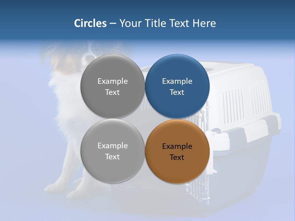 Young Dog Papillon And A Plastic Carrier PowerPoint Template