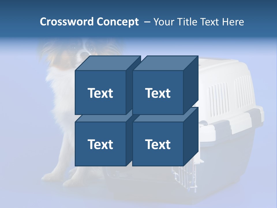 Young Dog Papillon And A Plastic Carrier PowerPoint Template