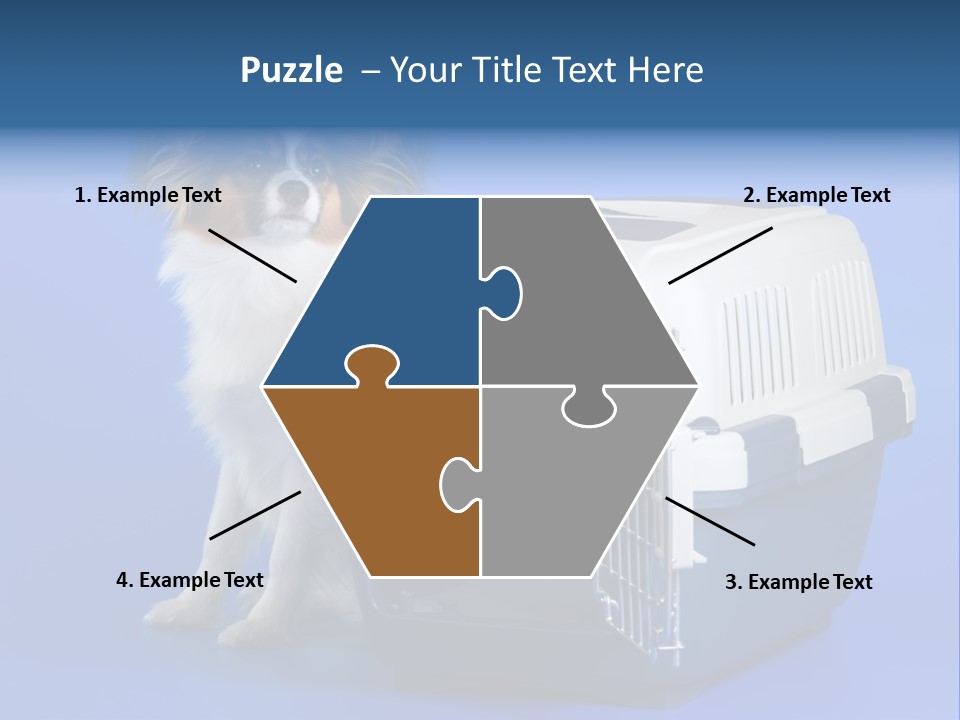 Young Dog Papillon And A Plastic Carrier PowerPoint Template