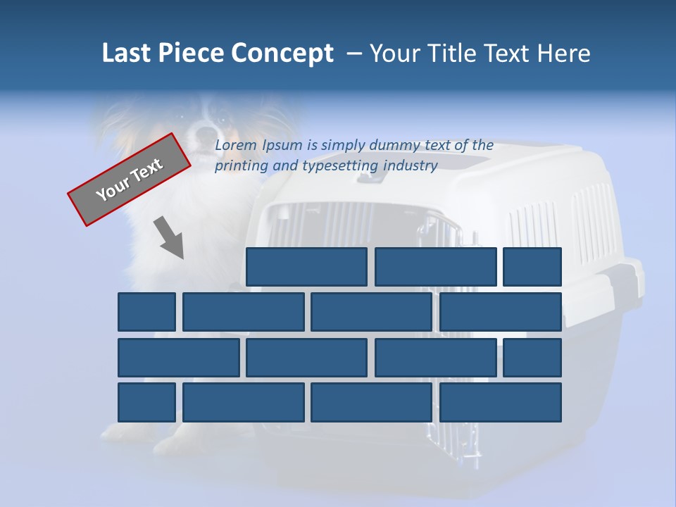 Young Dog Papillon And A Plastic Carrier PowerPoint Template