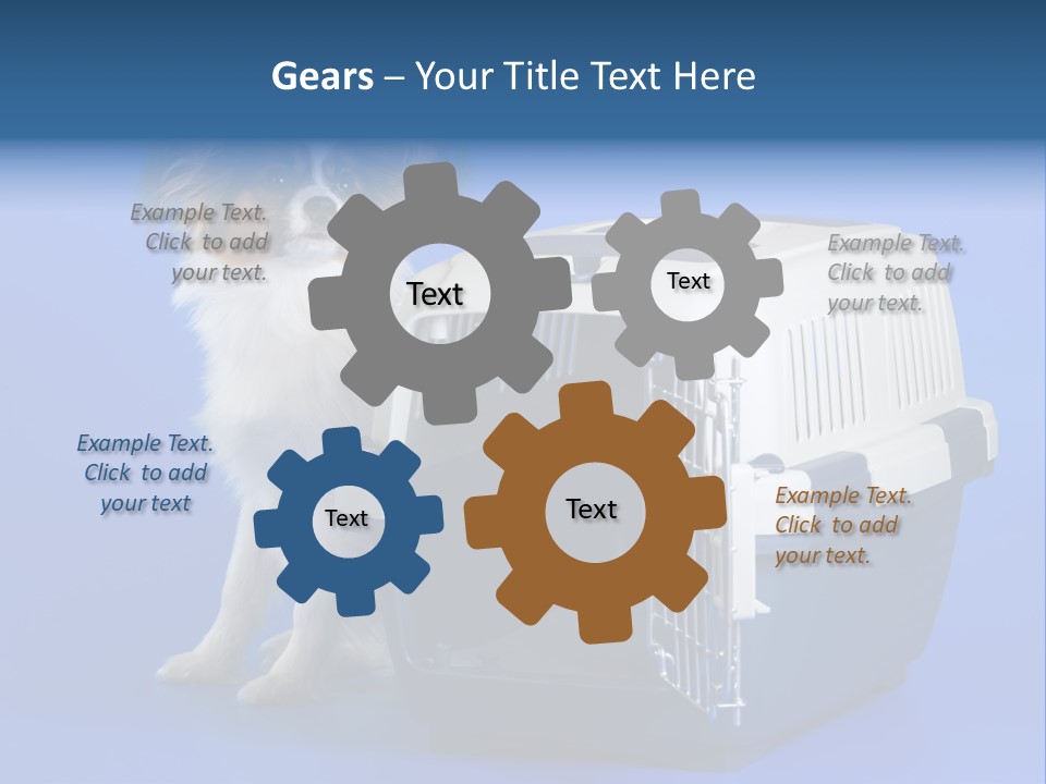 Young Dog Papillon And A Plastic Carrier PowerPoint Template