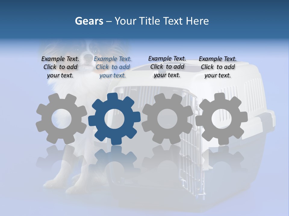 Young Dog Papillon And A Plastic Carrier PowerPoint Template