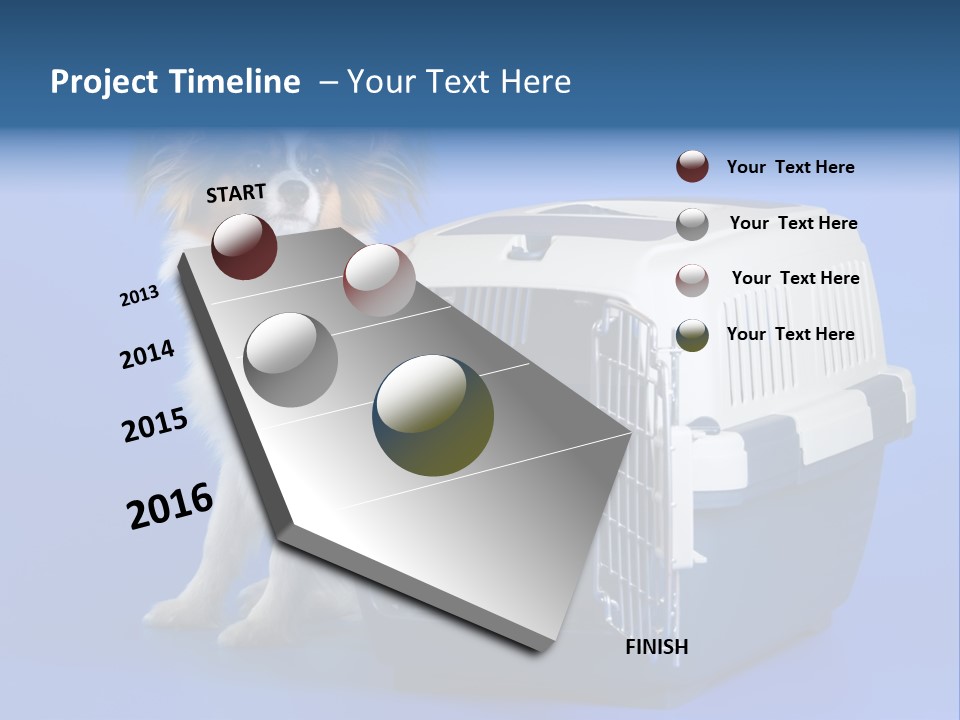 Young Dog Papillon And A Plastic Carrier PowerPoint Template