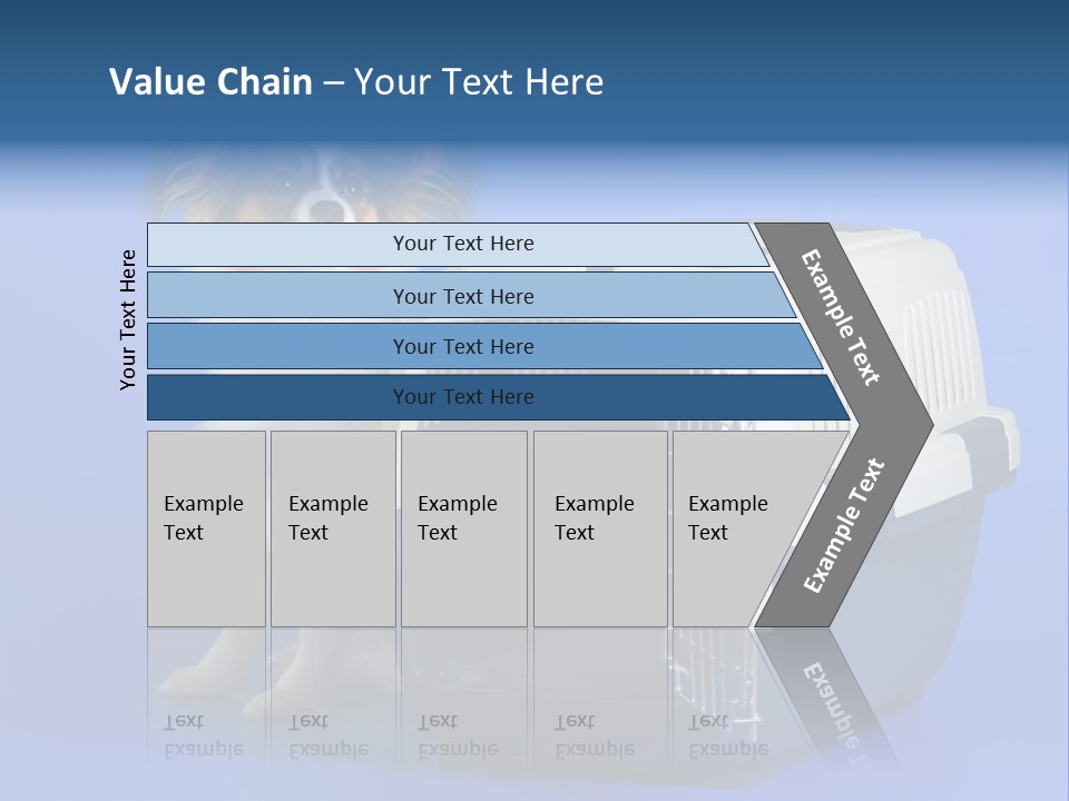 Young Dog Papillon And A Plastic Carrier PowerPoint Template