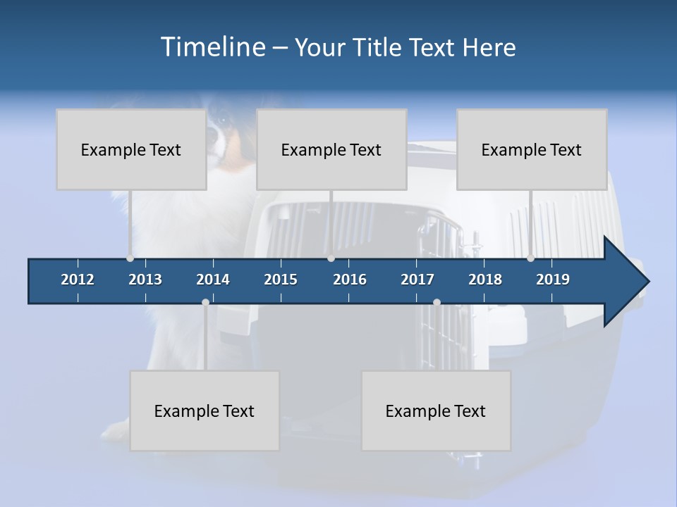 Young Dog Papillon And A Plastic Carrier PowerPoint Template