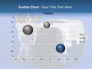 Young Dog Papillon And A Plastic Carrier PowerPoint Template