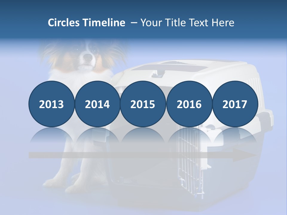 Young Dog Papillon And A Plastic Carrier PowerPoint Template