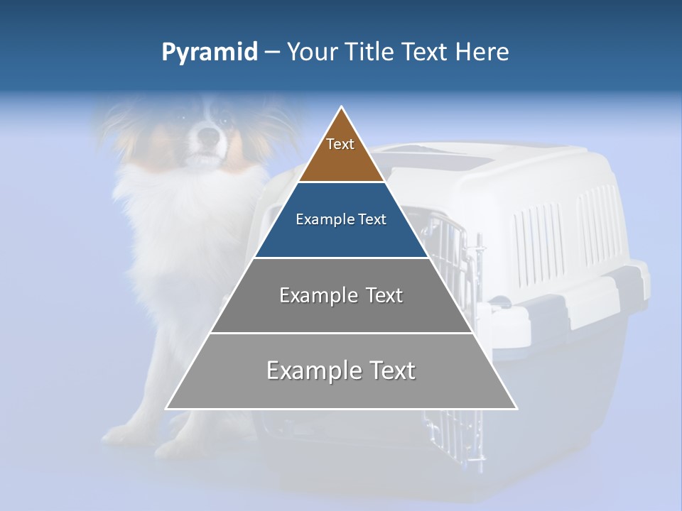 Young Dog Papillon And A Plastic Carrier PowerPoint Template