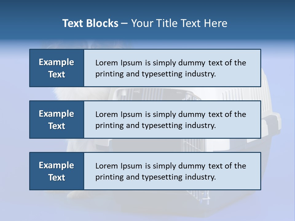 Young Dog Papillon And A Plastic Carrier PowerPoint Template