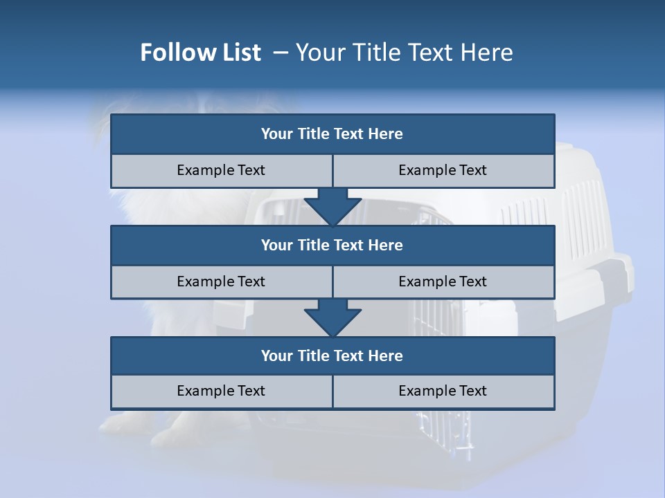 Young Dog Papillon And A Plastic Carrier PowerPoint Template