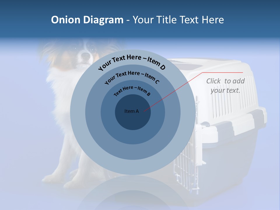 Young Dog Papillon And A Plastic Carrier PowerPoint Template