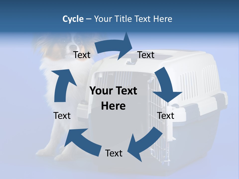 Young Dog Papillon And A Plastic Carrier PowerPoint Template