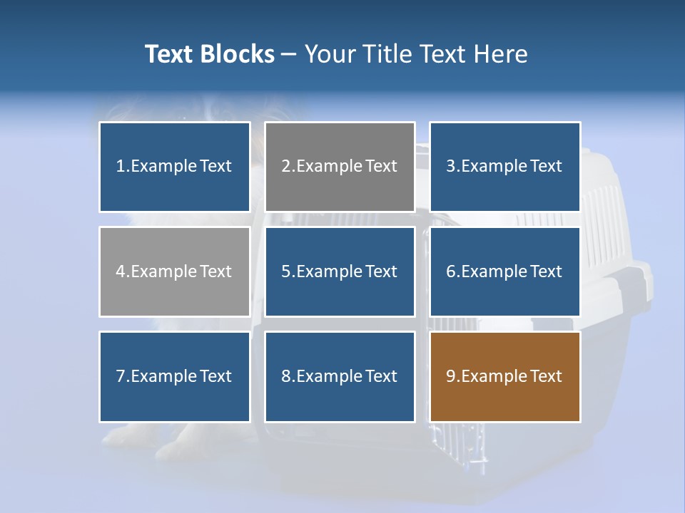 Young Dog Papillon And A Plastic Carrier PowerPoint Template