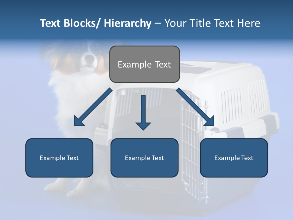 Young Dog Papillon And A Plastic Carrier PowerPoint Template