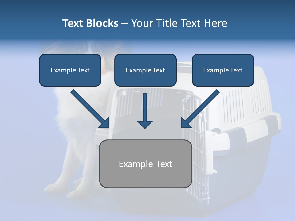 Young Dog Papillon And A Plastic Carrier PowerPoint Template