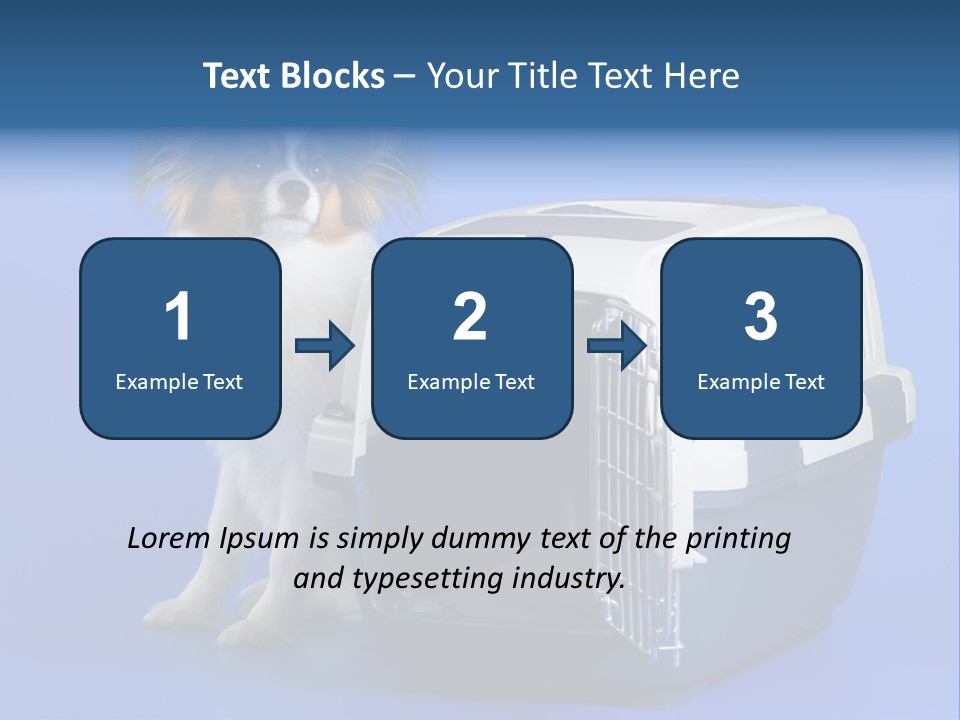 Young Dog Papillon And A Plastic Carrier PowerPoint Template